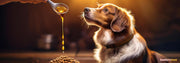 The Ultimate Guide to Dog Nutrition: Essential Tips for a Balanced Diet