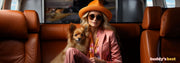 The Ultimate Guide to Traveling with Pets: Safety, Comfort, and Style