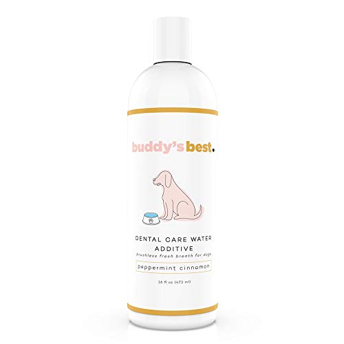 Dog breath fashion water