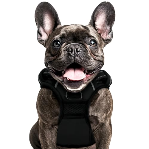 Soft no pull shops dog harness