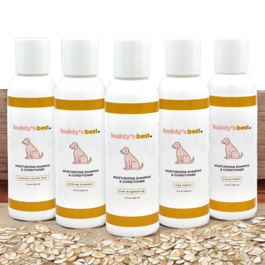 Healthy dog outlet shampoo