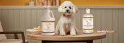 The Benefits of a 2-in-1 Dog Shampoo and Conditioner: Simplify Your Dog's Grooming Routine