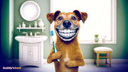 Can children's toothpaste be used on dogs?