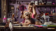 The History of Dog Grooming: From Ancient Times to Today