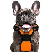PL XL Orange Dog Harness