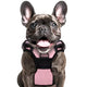 PL S Pink Dog Harness