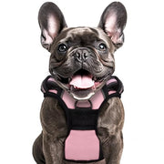 PL L Pink Dog Harness