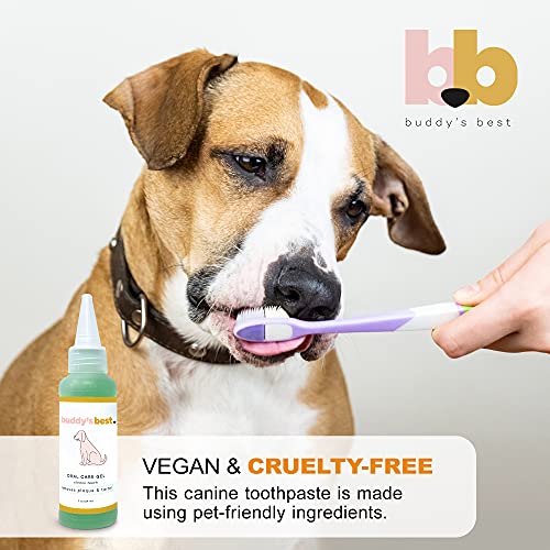 Dog friendly clearance toothpaste