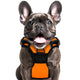 PL S Orange Dog Harness