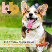 Buddy's Best Pure Wild Norwegian Salmon Oil 32 oz